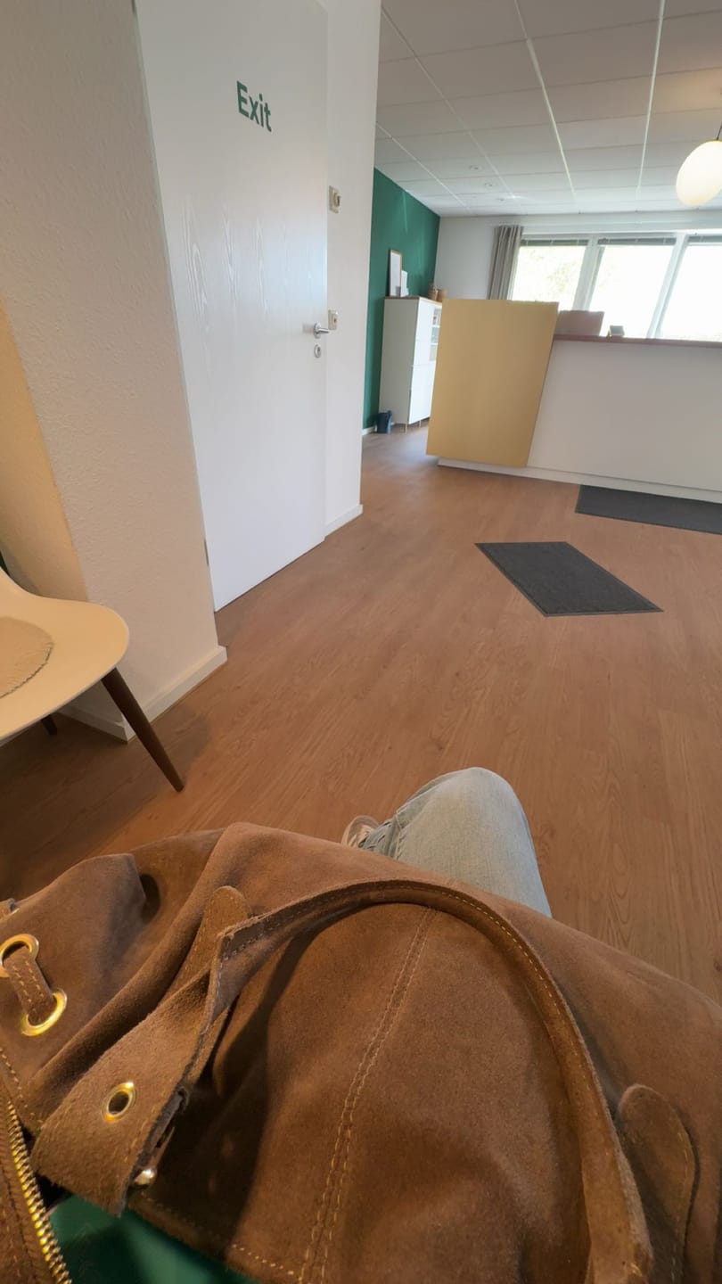 Customer photo review of Suède Muse bag taupe