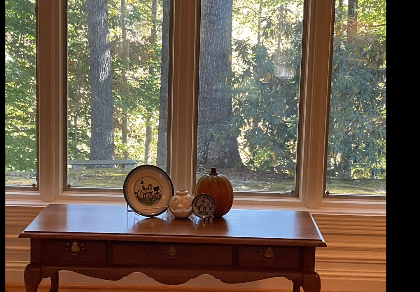 Customer photo review of Pumpkin Patch Chicken Lunch Plate