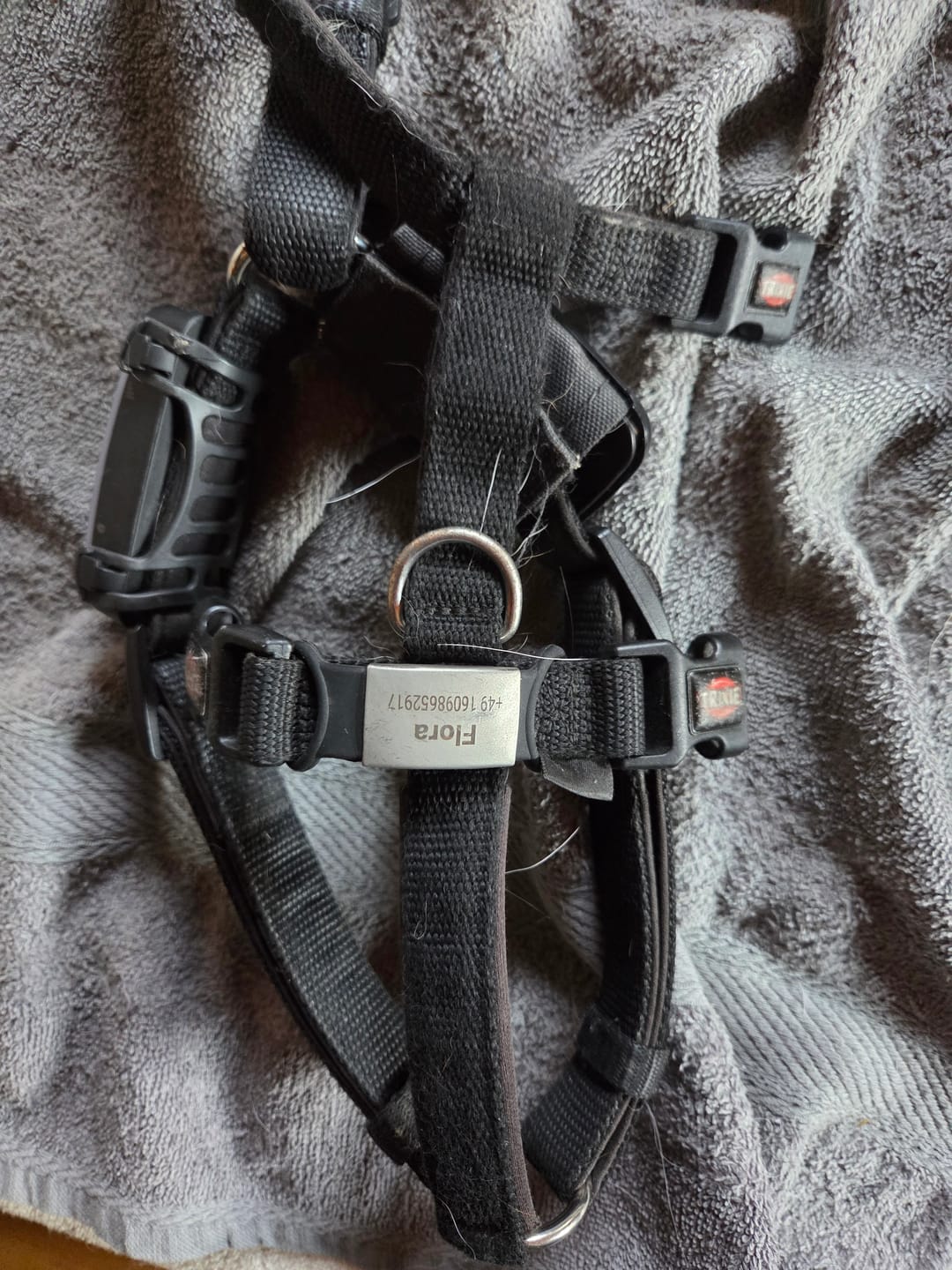 Customer photo review of Klapperfreie Hundemarke Silikonslider mit Edelstahl-Schild für Halsbänder inkl. GRATIS Gravur