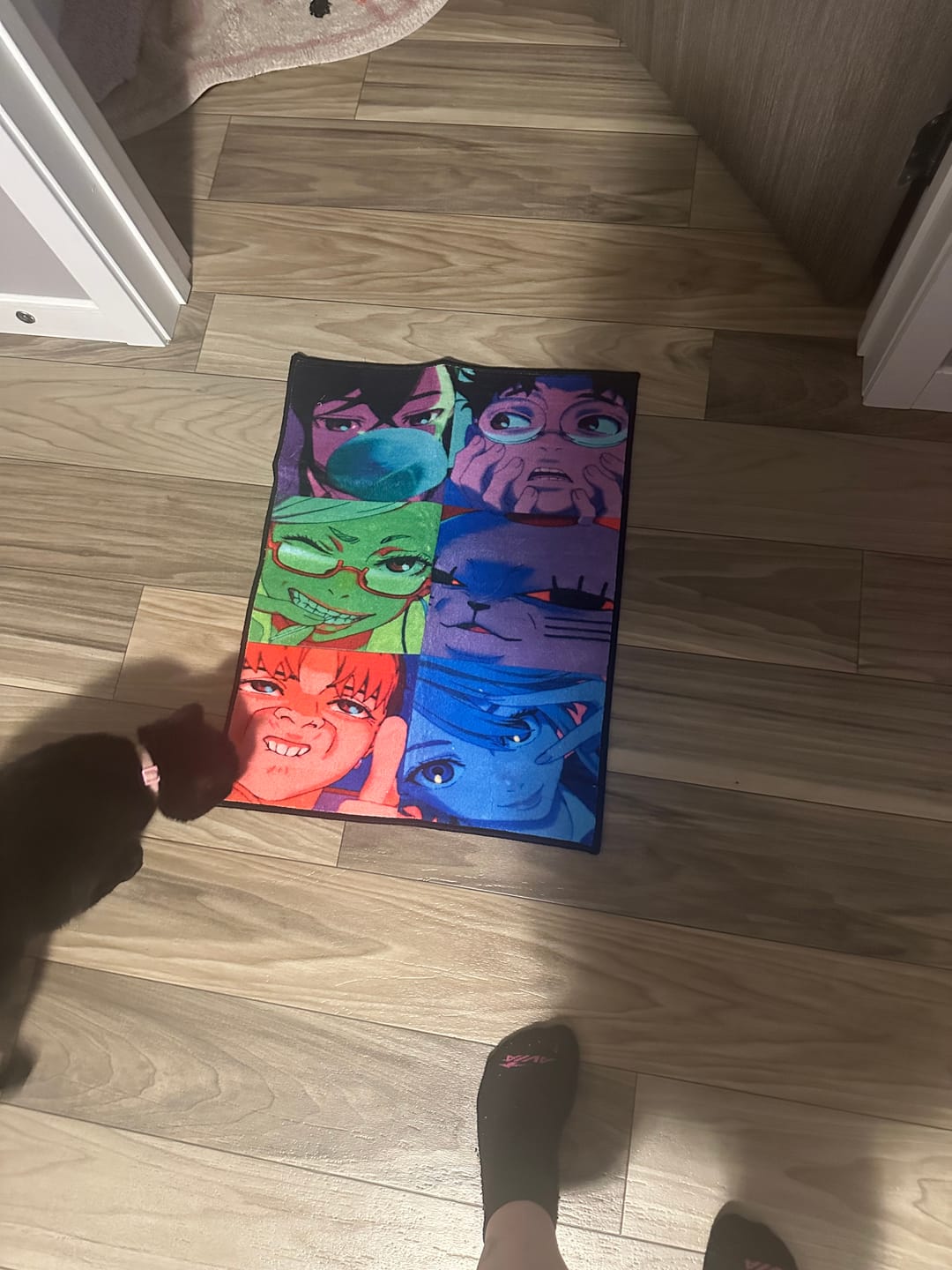 Customer photo review of Design Your Own Rug – Unique Style for Every Space