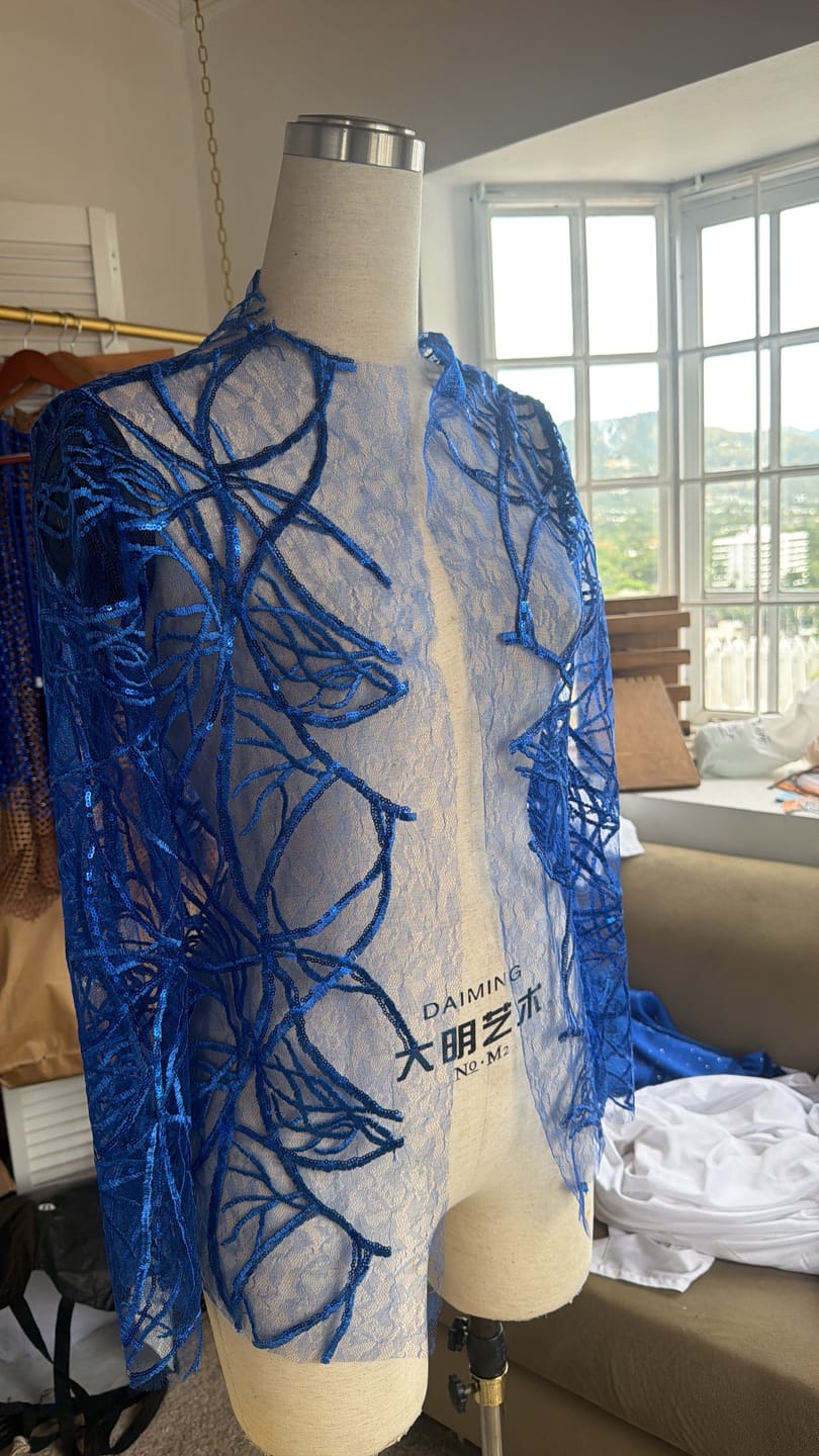 Customer photo review of Royal Blue Infinity Web Sequin Embroidered Mesh