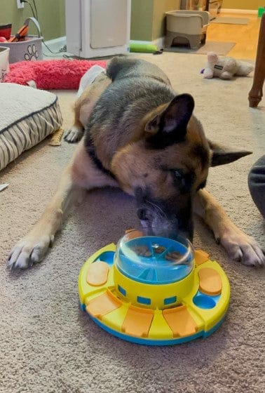 Customer photo review of Puzzle interactif - distributeur de croquettes
