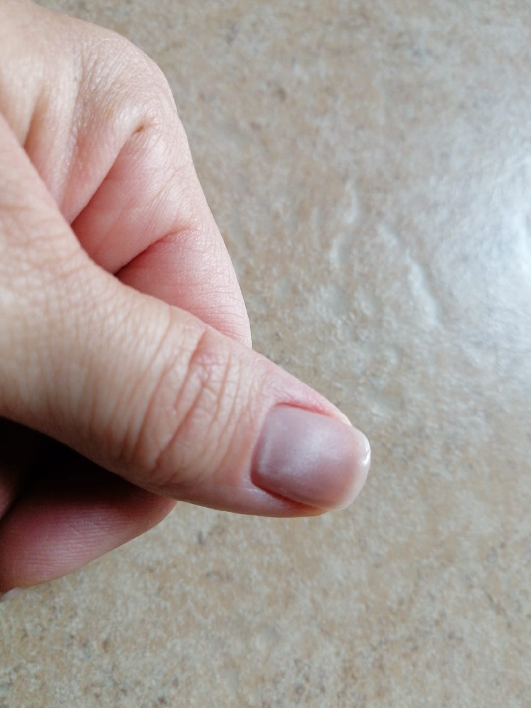 Customer photo review of Smalto Semipermanente LCI -  CAT 21