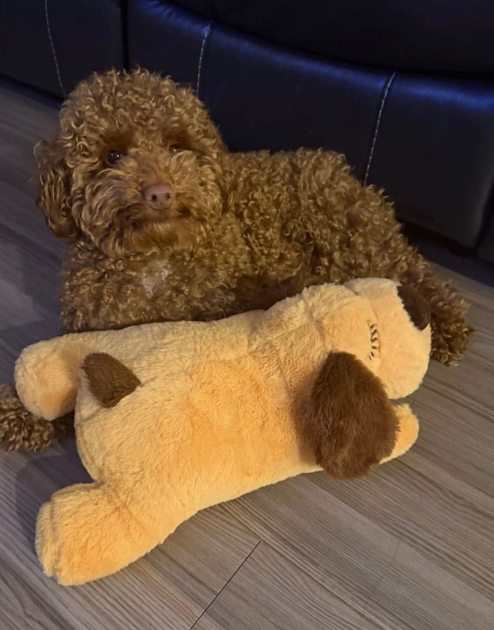 Customer photo review of Peluche con latido realista para perros