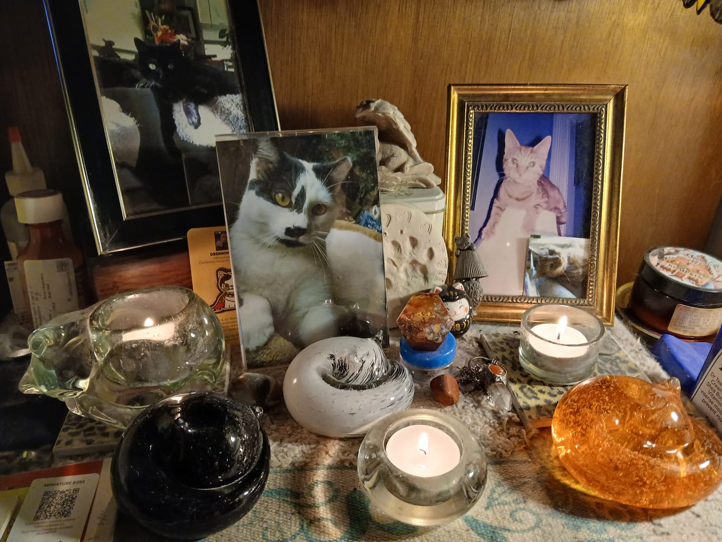 Customer photo review of Sleeping Cat with Infused Cremation Ashes