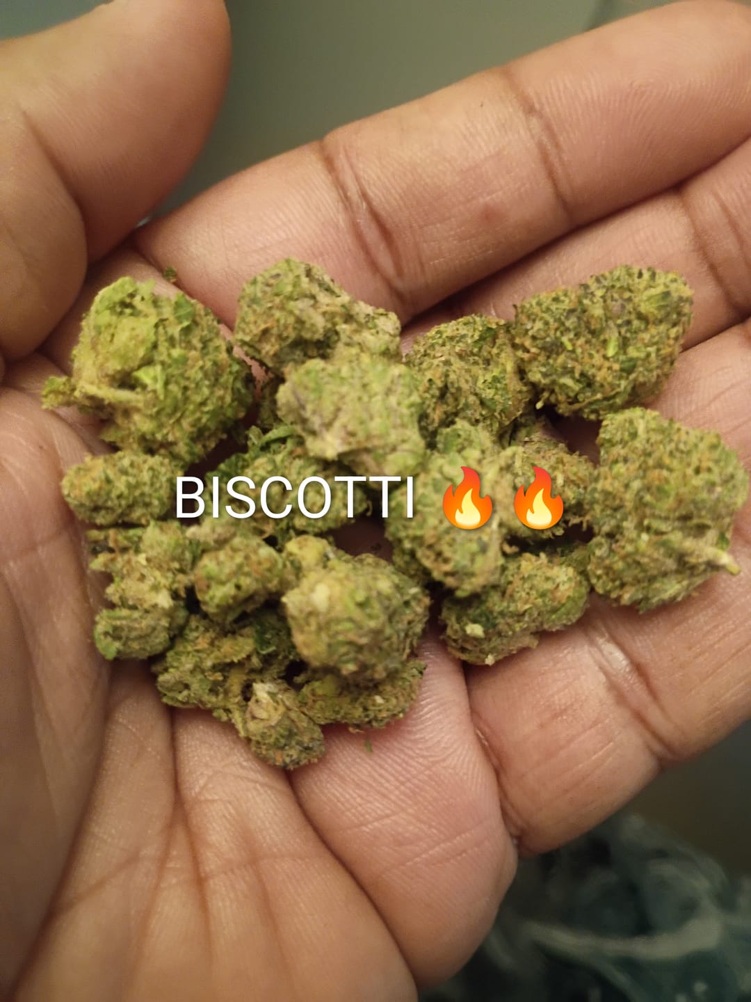 Customer photo review of Biscotti THCA Flower (Premium)
