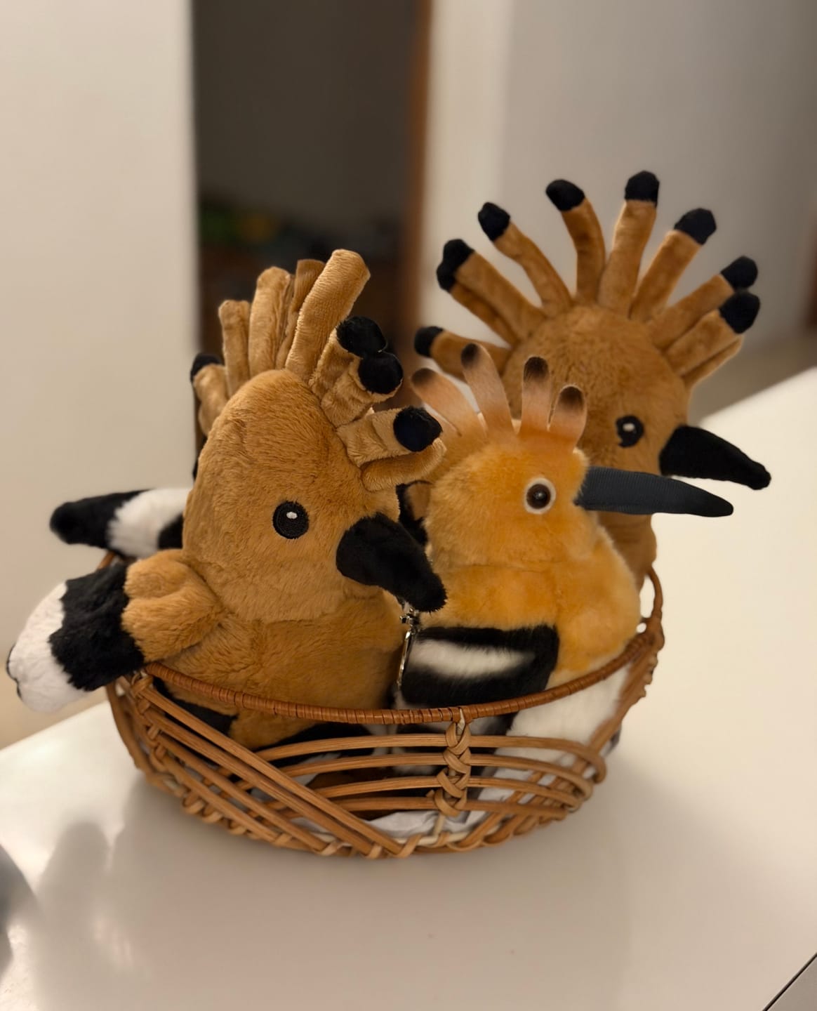 Customer photo review of Eurasian Hoopoe Plush Toy with Hanging Loop – Lifelike, Chubby, and Perfect for Bird Lovers