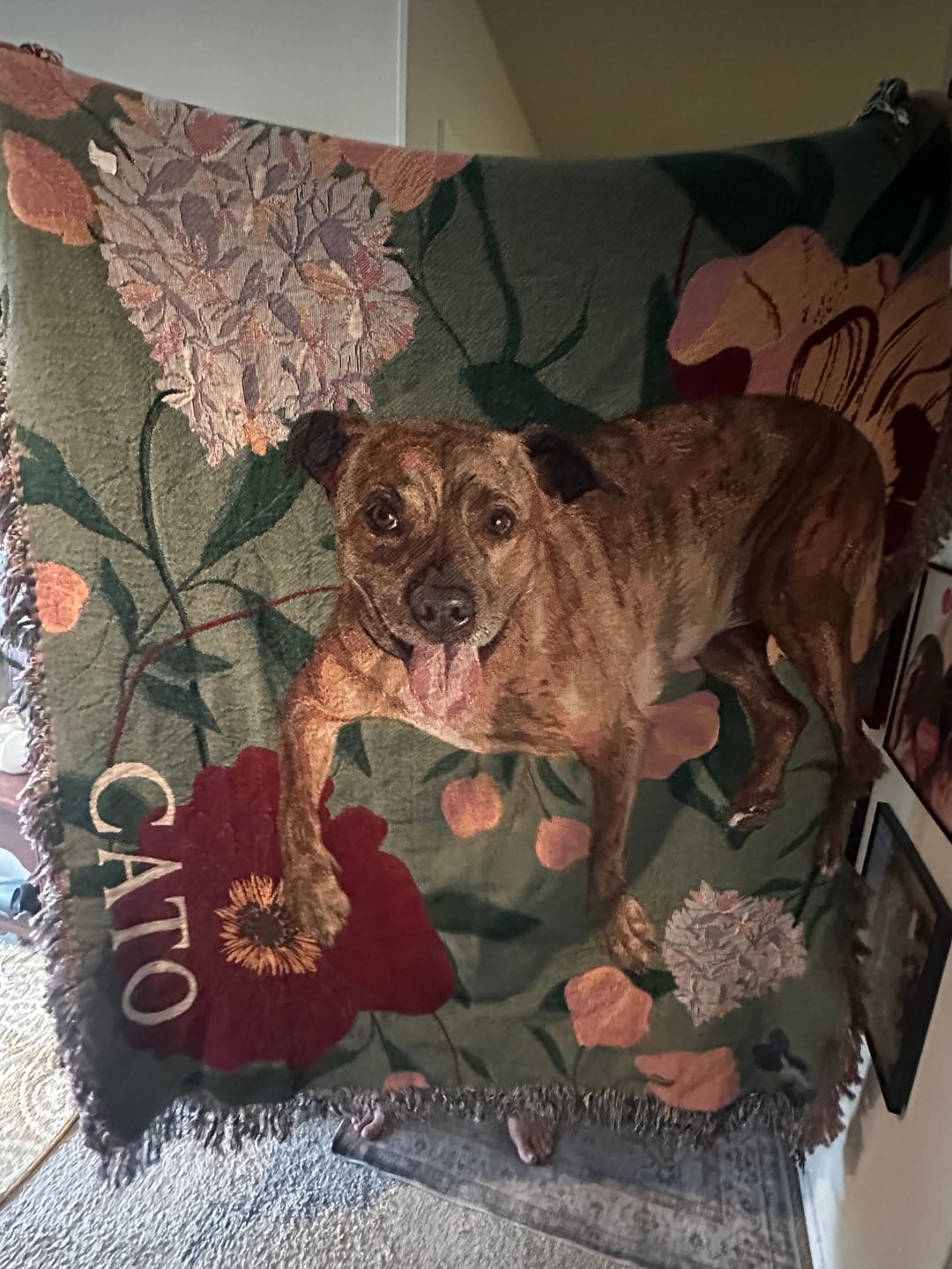 Customer photo review of Heirloom Pet Throw Blanket - Green Floral