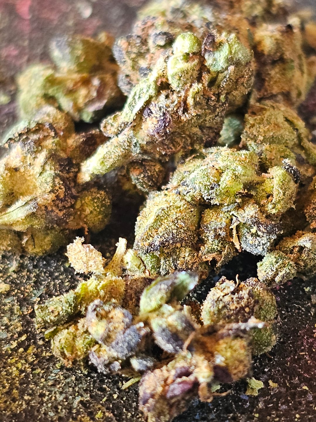 Customer photo review of Toad Crossing THCA Flower - Cheap Oz