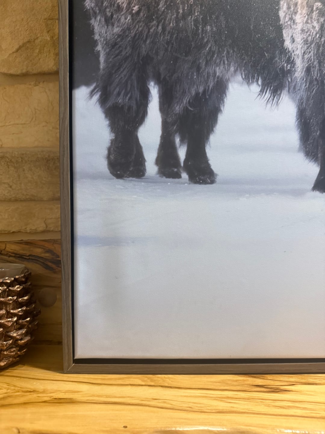 Customer photo review of Bison Herd Wall Art Canvas Print, Framed Rustic Wildlife