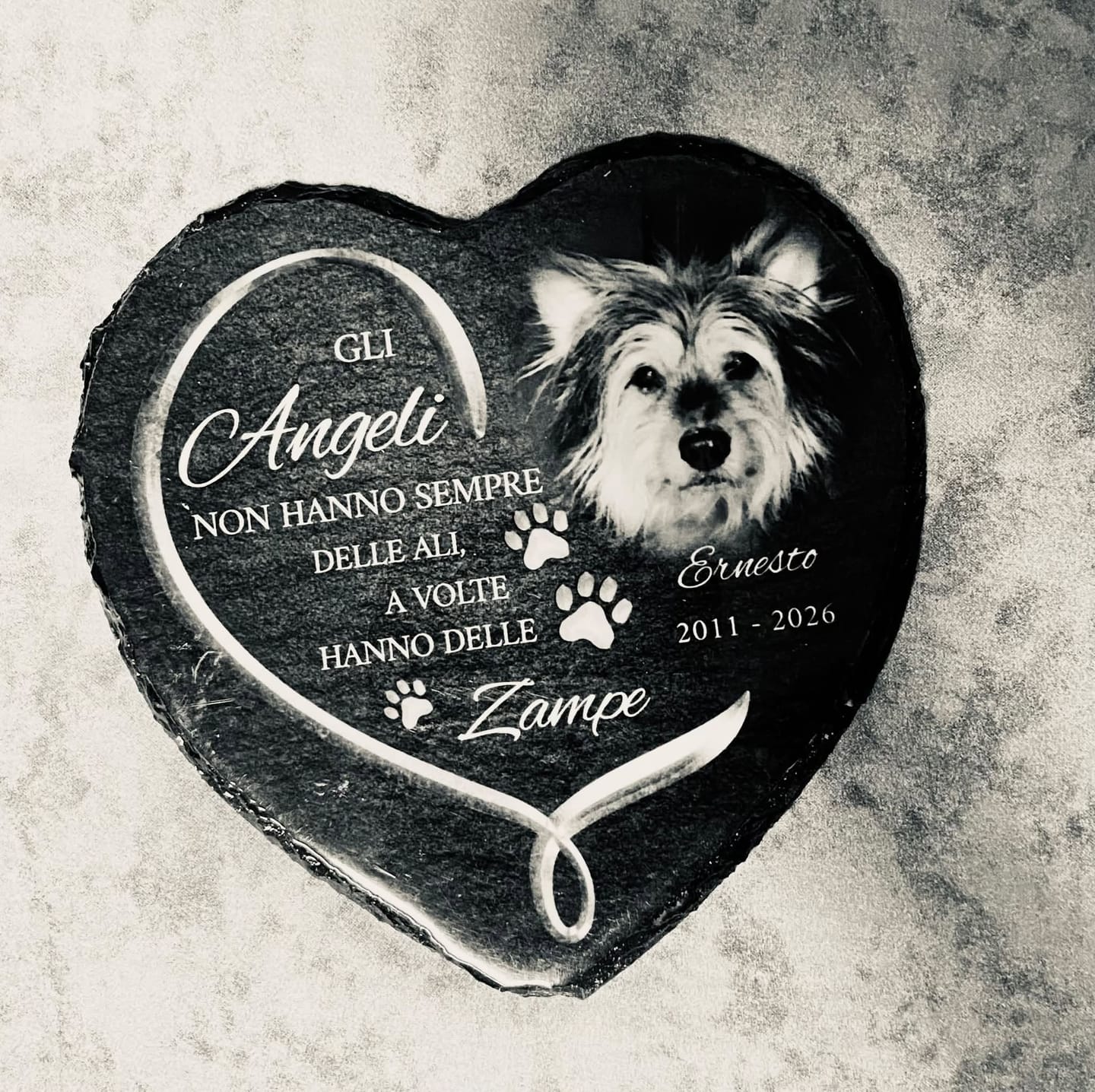 Customer photo review of Gli angeli hanno delle zampe - Cuore in ardesia personalizzato