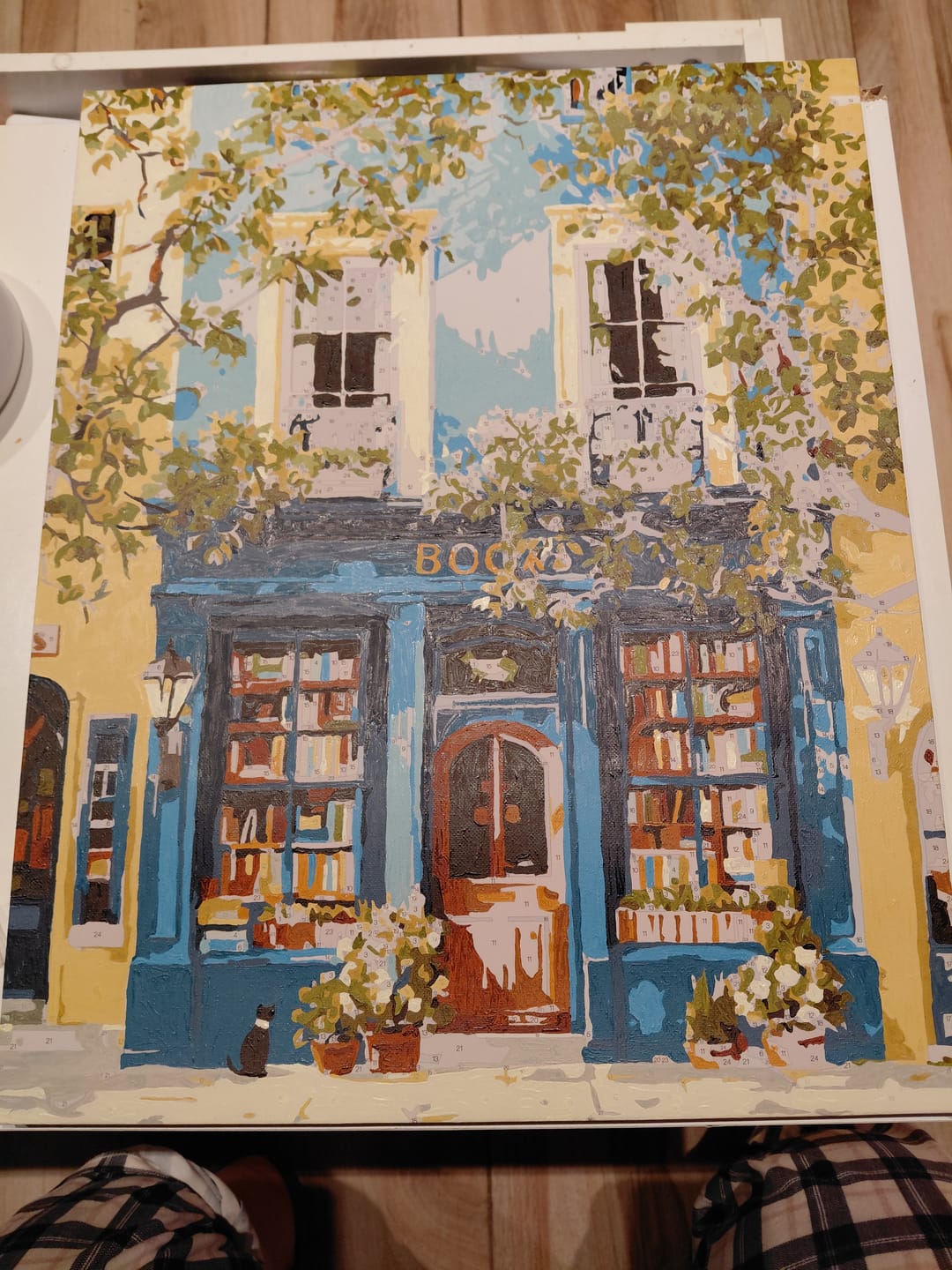 Customer photo review of Surprise Painting | Paint by Numbers