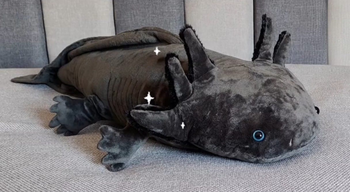 Customer photo review of Black Melanoid Axolotl Plush – Soft, Adorably Lifelike, and Perfect for Nature Lovers
