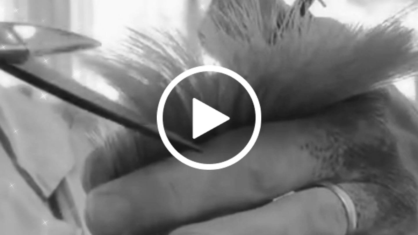 Customer video review of Hair Shears | SI Series | Made in Japan