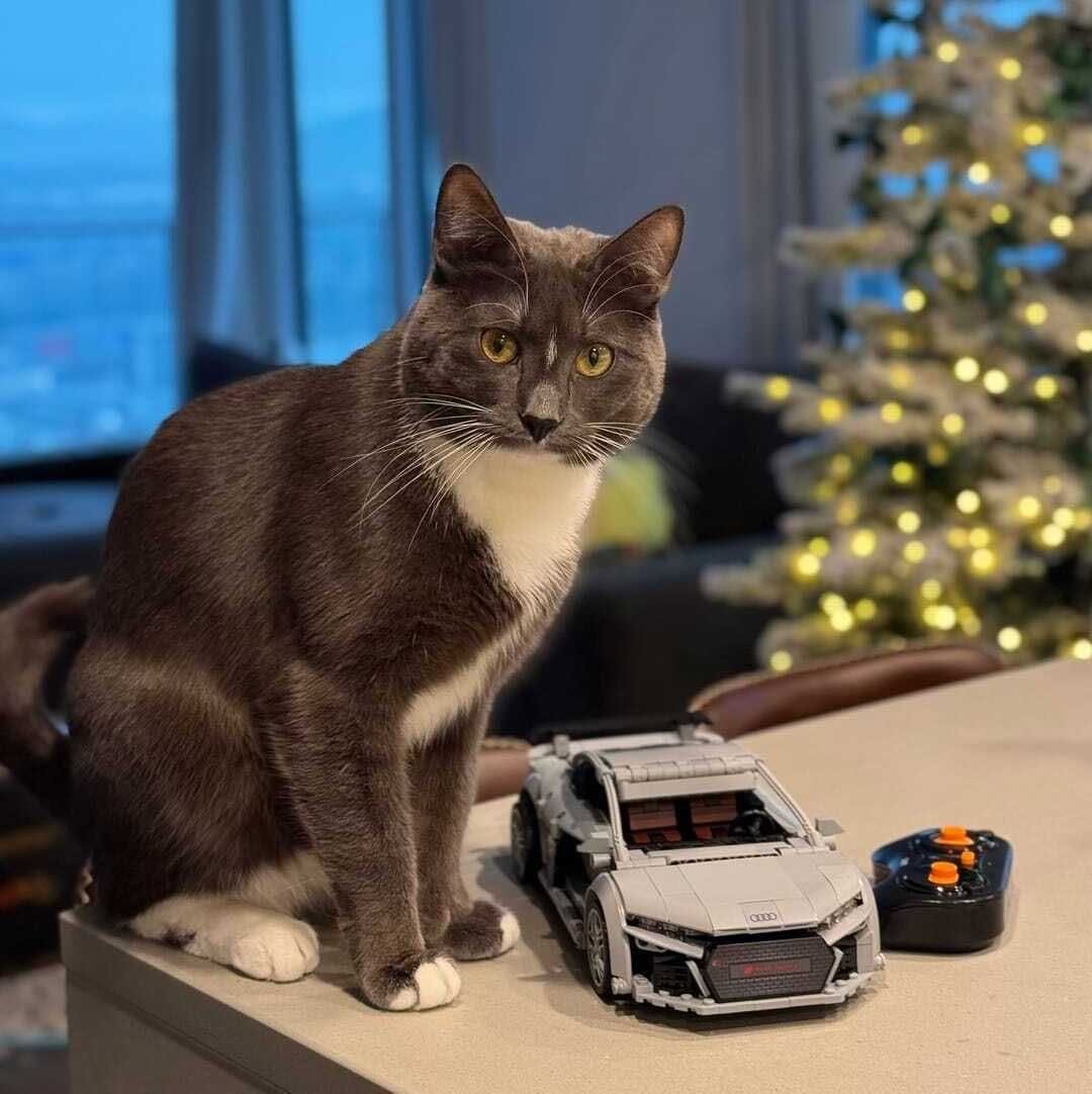 Customer photo review of Audi R8 V10