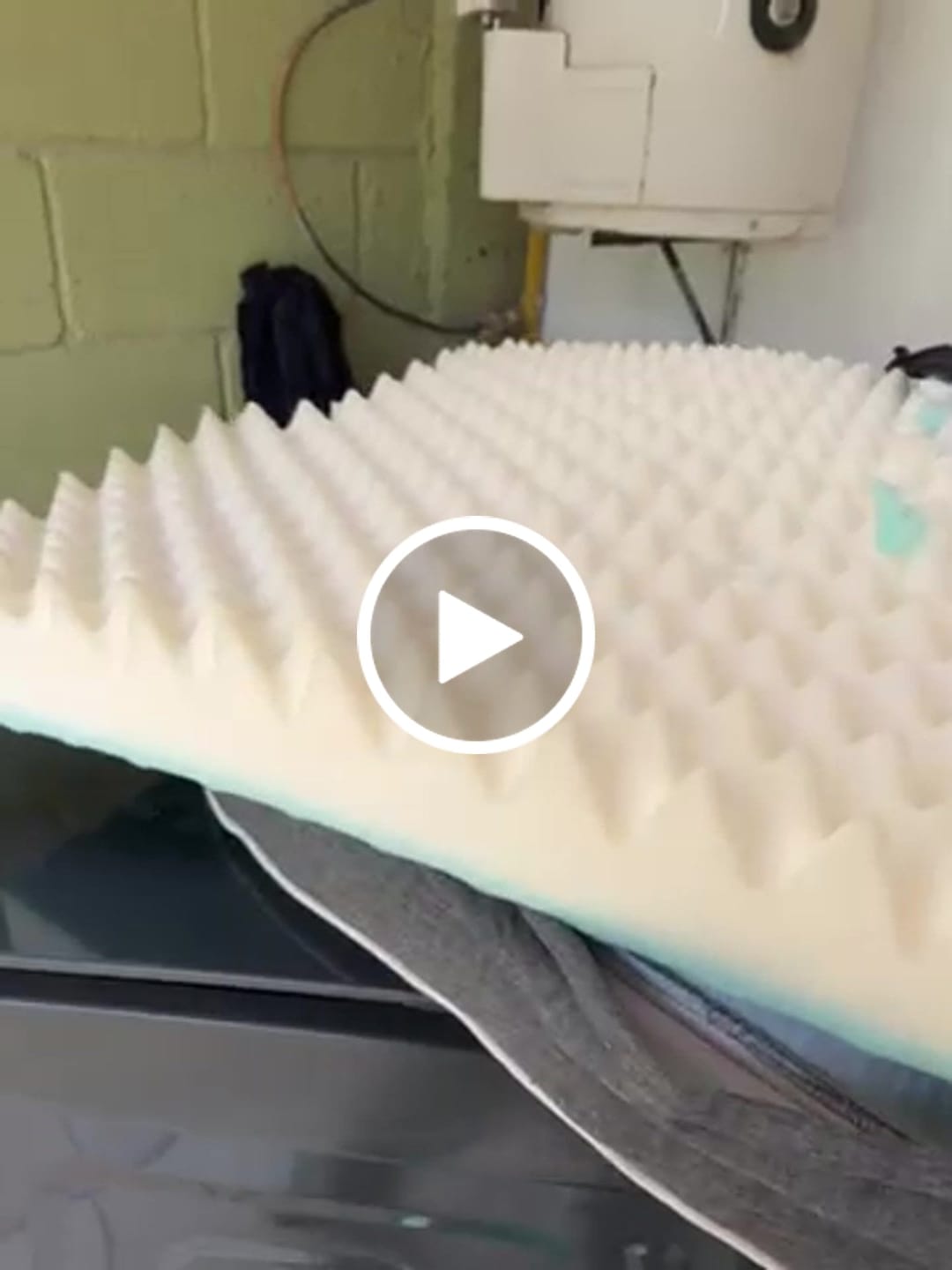 Customer video review of Cama Ortopédica para Perros