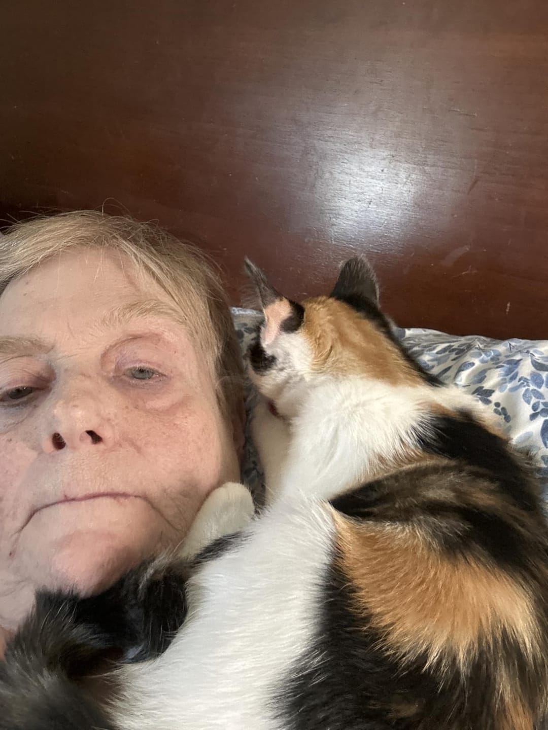 Customer photo review of PurrPatch Grass Chews