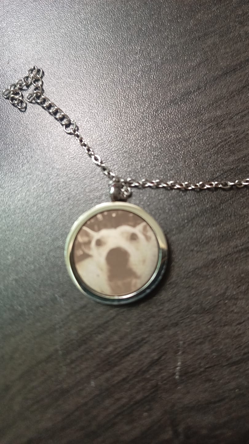 Customer photo review of Collar Memory  Personalizado