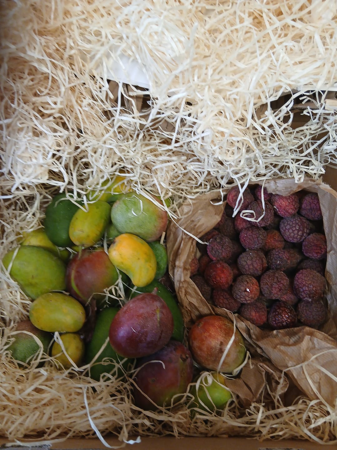 Customer photo review of Litschi (Lychee) Bio von Julian