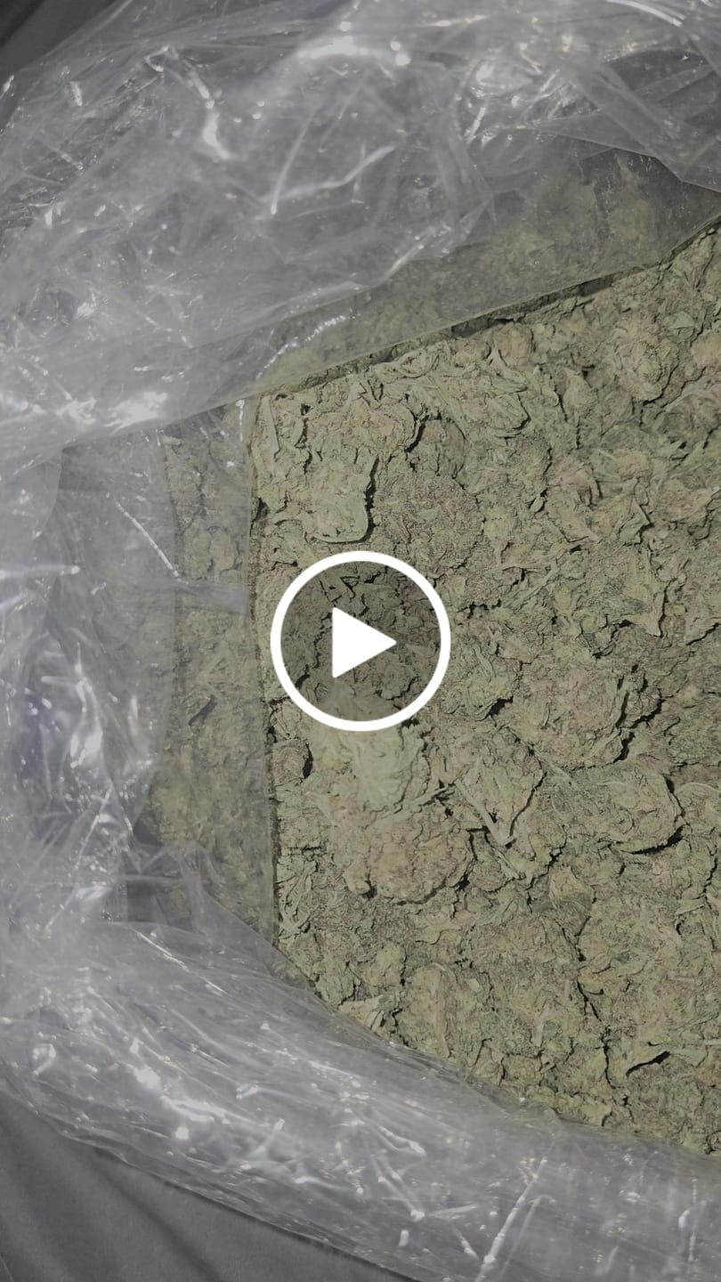 Customer video review of Watermelon Runtz - Bulk - Indica
