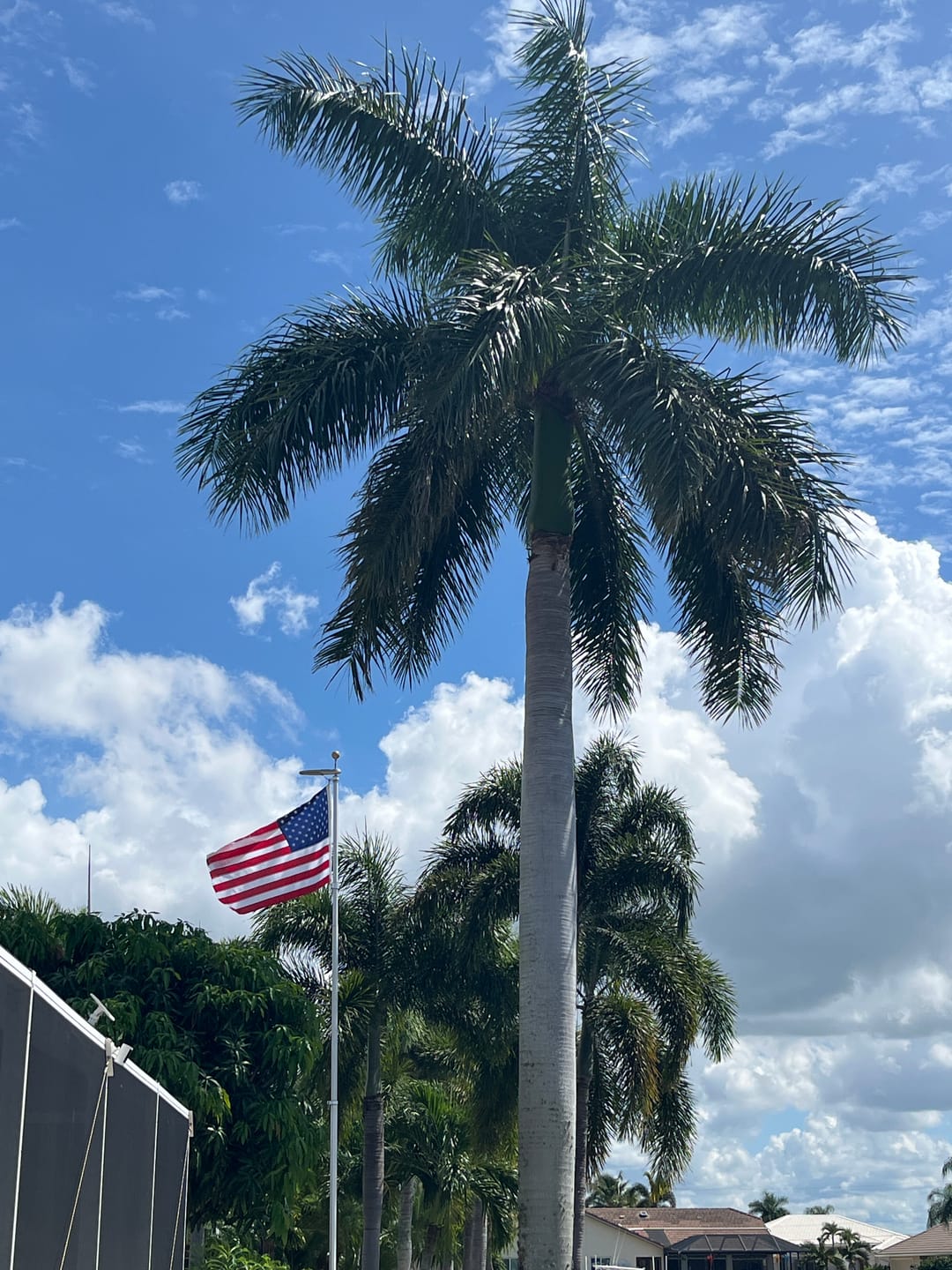 Customer photo review of 3' x 5' American Flag