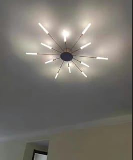 Customer photo review of Sputnik LED Ceiling Light