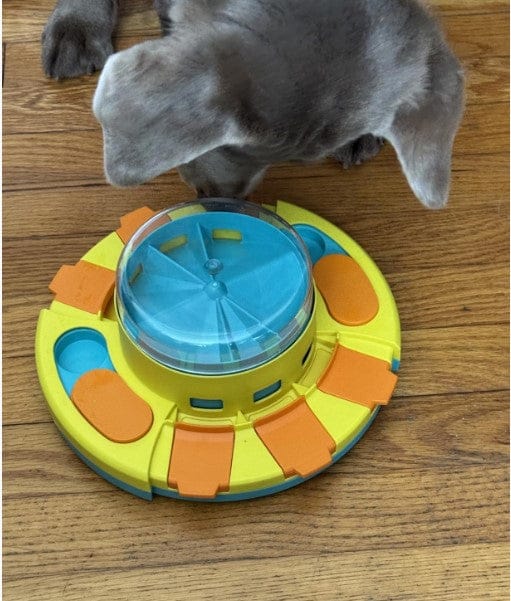 Customer photo review of Puzzle interactif - distributeur de croquettes