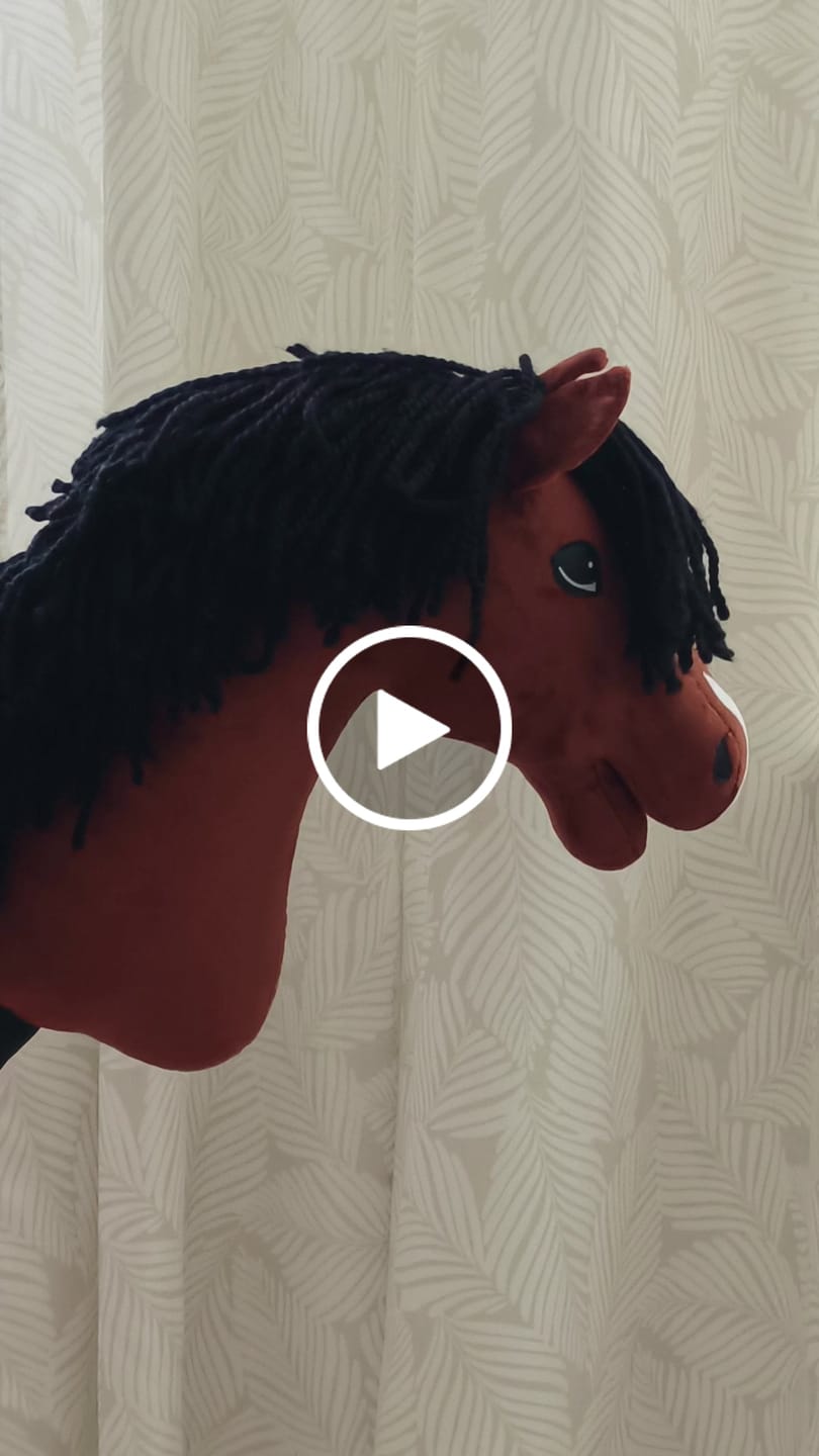 Customer video review of Hobby Horse Rocky with Black Halter