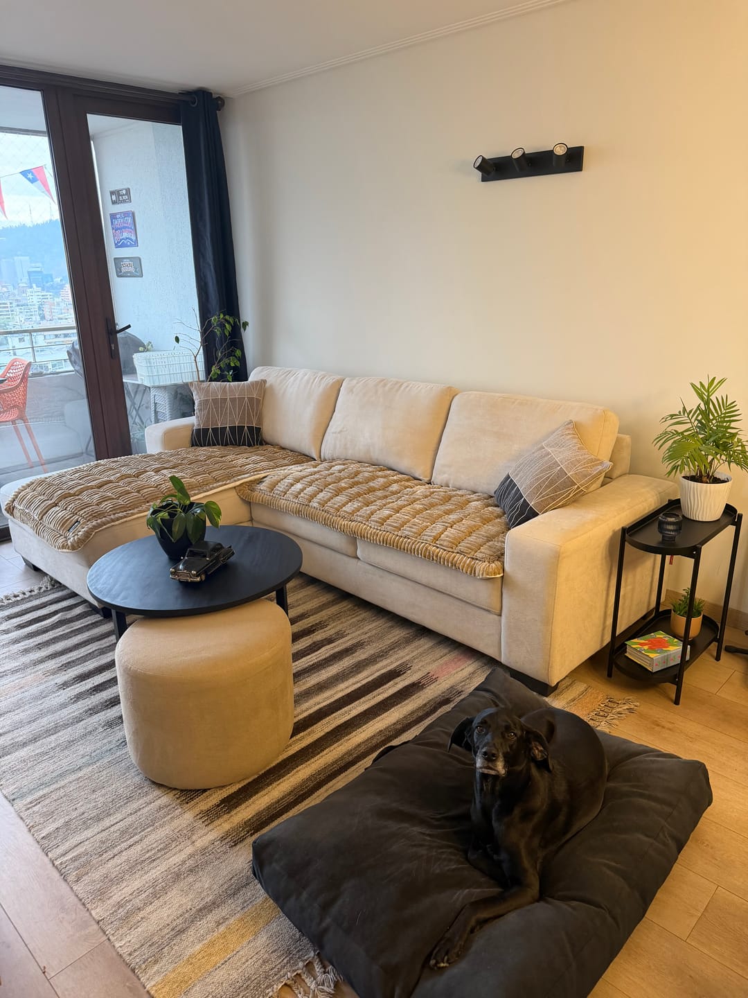 Customer photo review of Majestuoso · Protector Premium para Sofá
