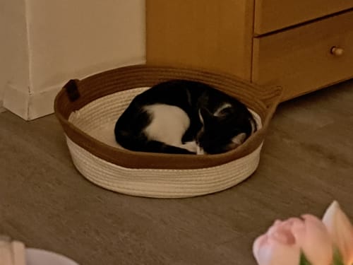 Kunden Fellnest Katzenkorb in Braun und Weiß, in dem eine schwarz-weiße Katze zusammengerollt schläft.