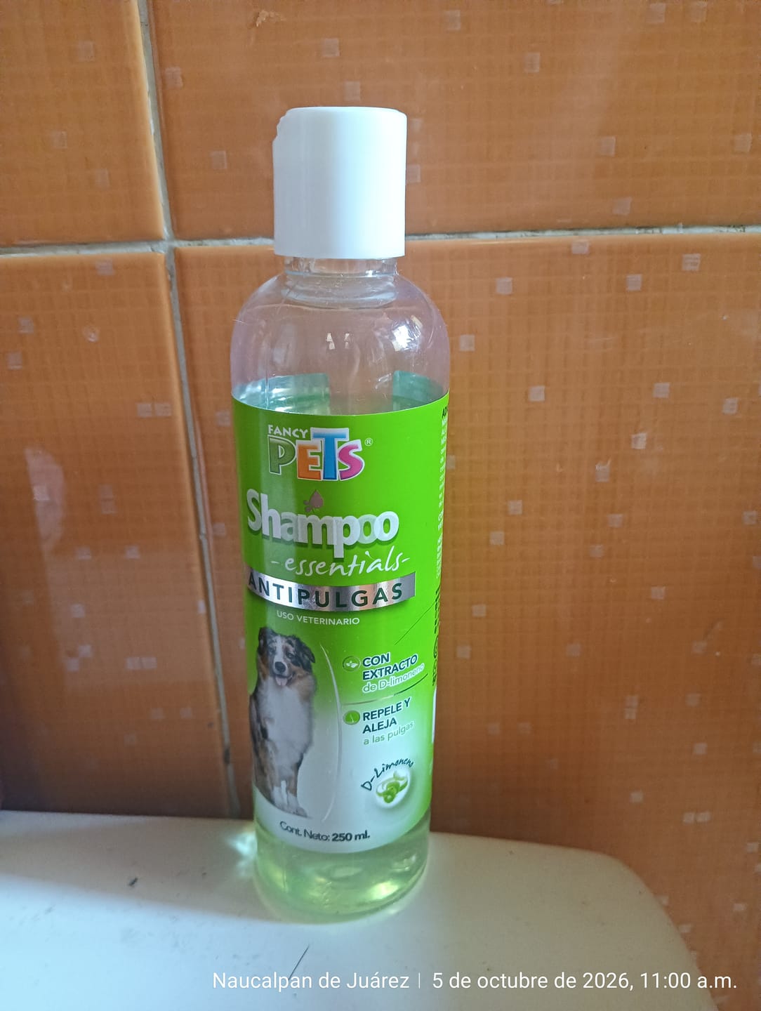 Customer photo review of FL3967 1 Pieza Shampoo Antipulgas Para Perro