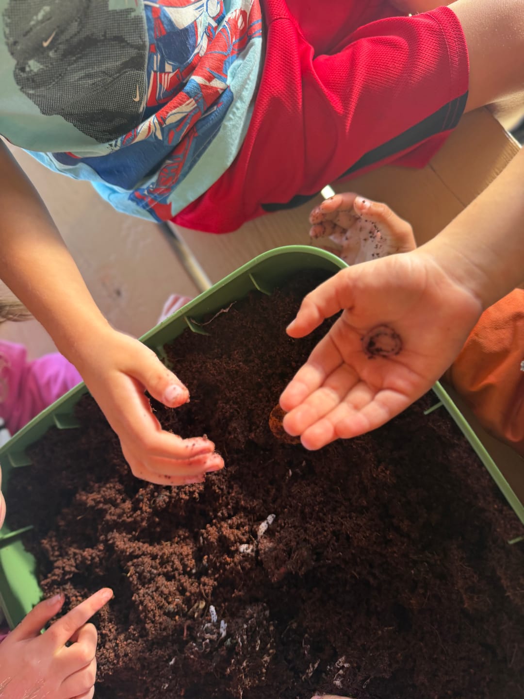 Customer photo review of Worm Bedding - Coco Coir