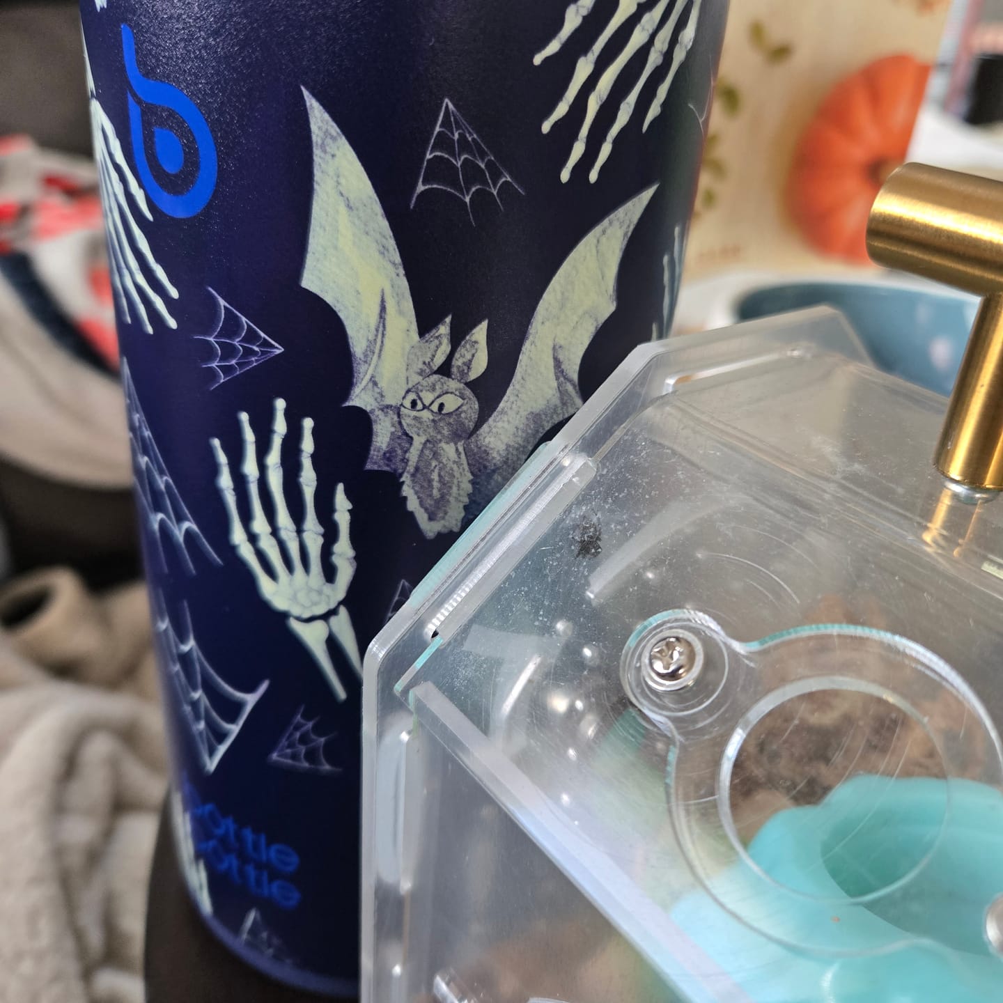 Customer photo review of Hydro X Bottle 32oz