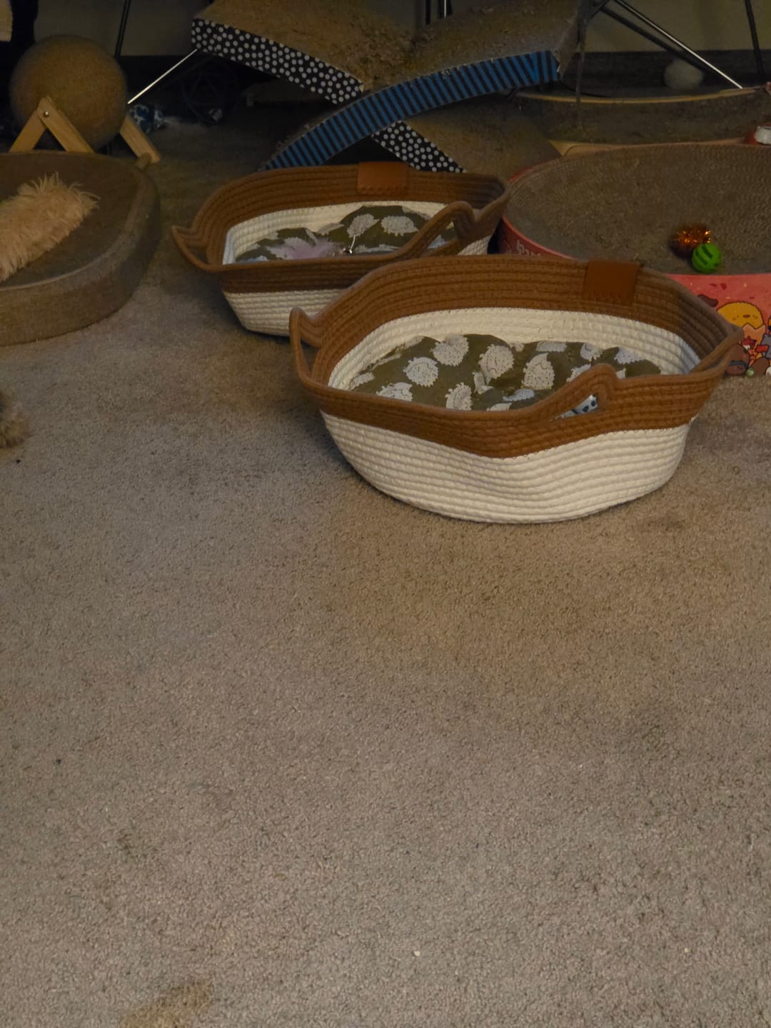 Customer photo review of Instinct Basket | Meet the first research-backed natural territory for indoor cats