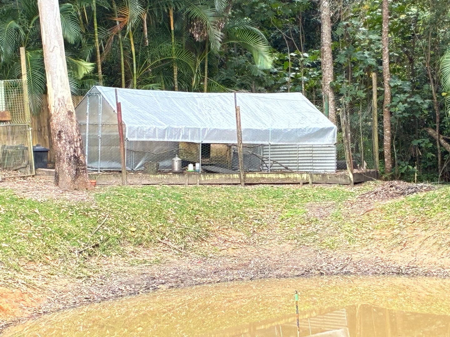 Customer photo review of Pets Gear Metal Galvanised Steel Walk In Chicken Coop 6m x 3m
