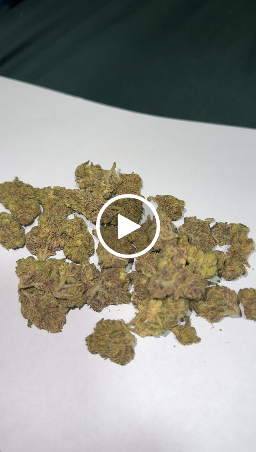 Customer video review of Biscotti THCa Flower