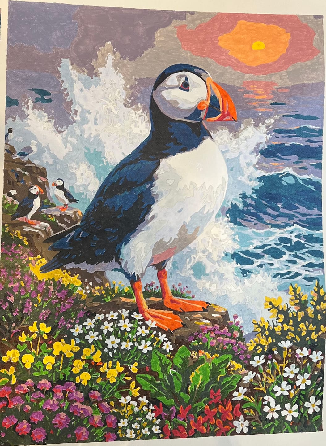 Customer photo review of Puffin on the Cliff Edge (Paint by Numbers)