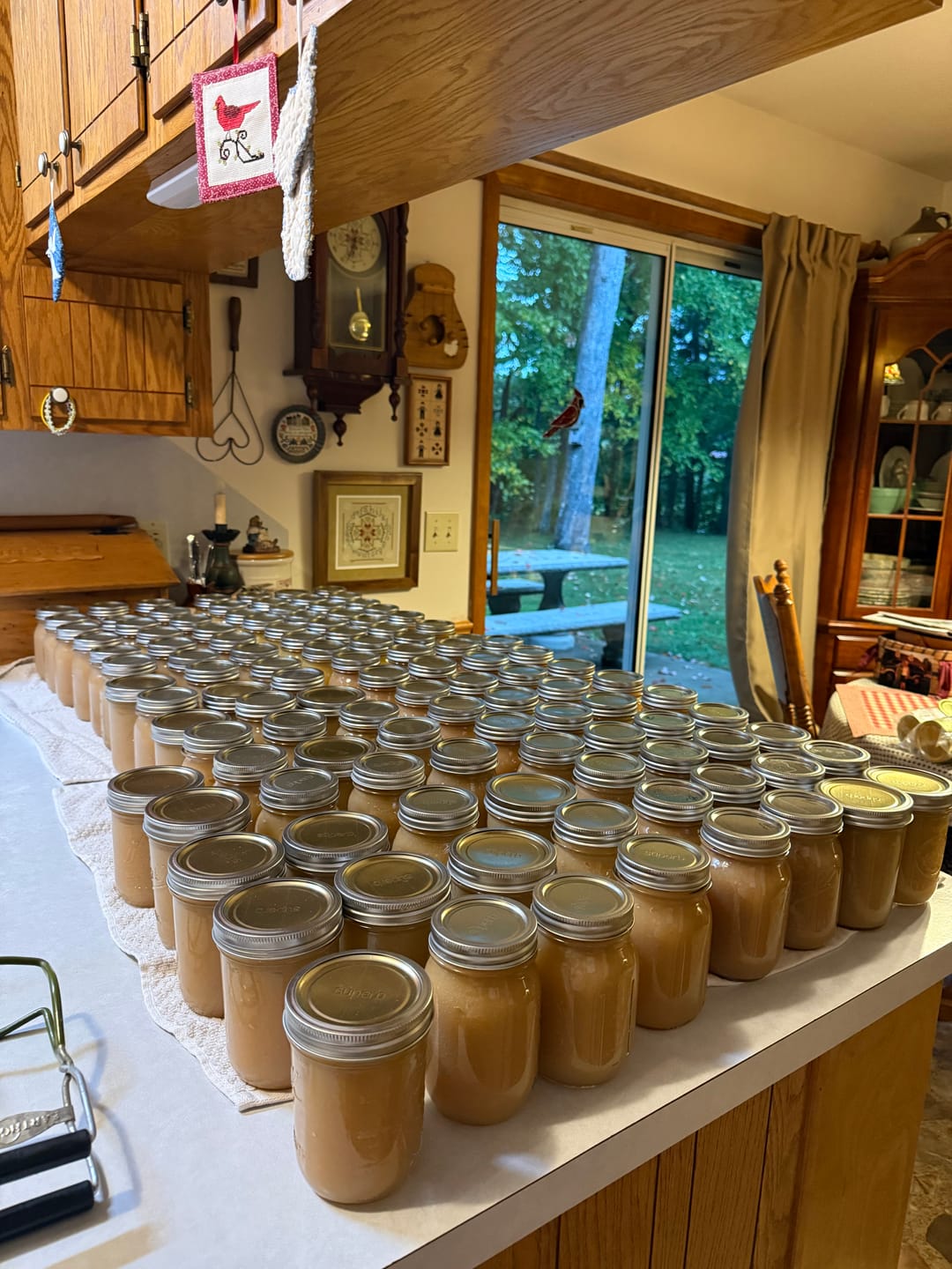 Customer photo review of Bulk Canning Lids | Baker’s Dozen Package | Regular & Wide Mouth