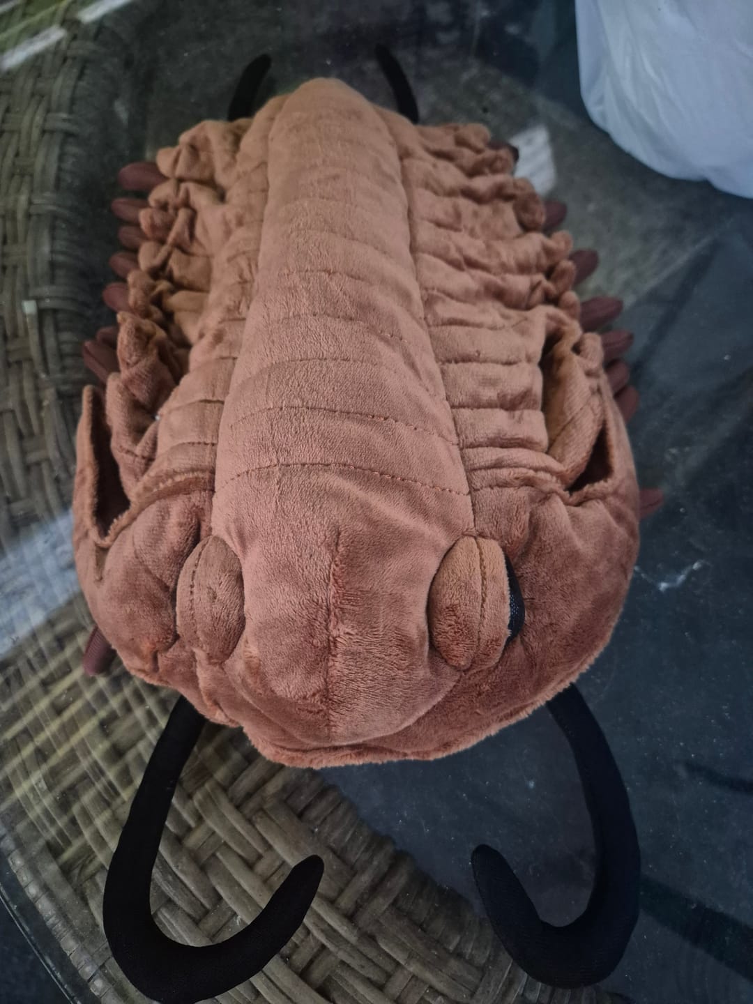 Customer photo review of Trilobite Arthropod Soft Stuffed Plush Toy
