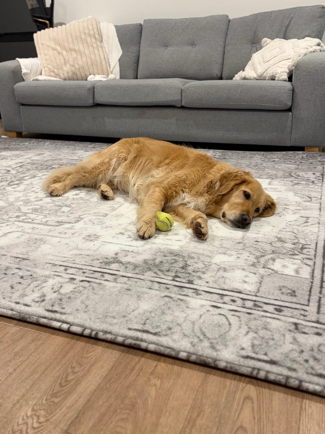 Customer photo review of Designer Relax Mat