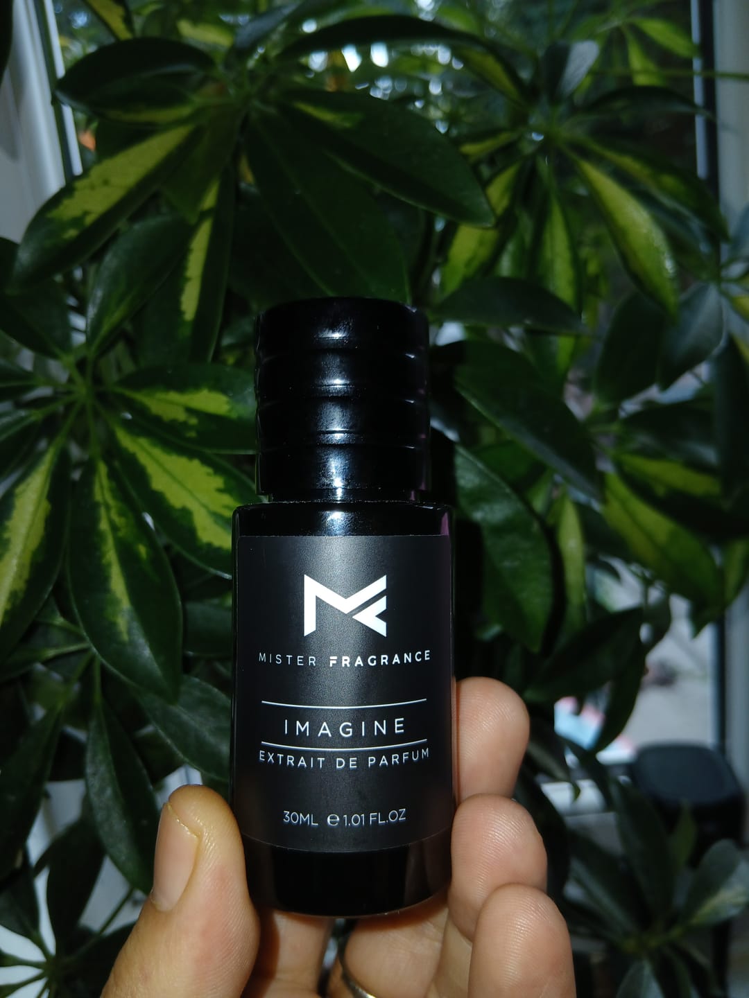 Customer photo review of Imagine