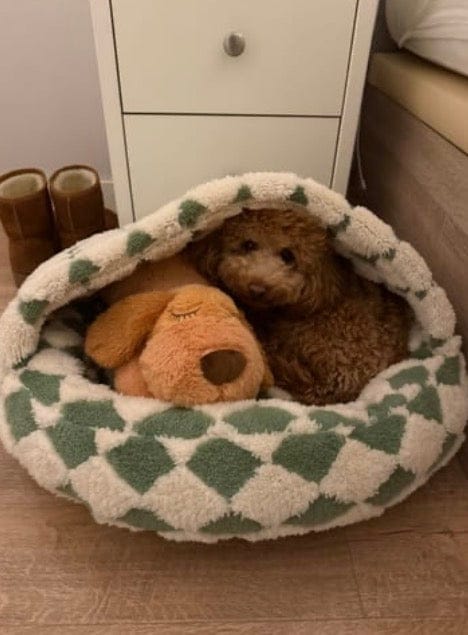 Customer photo review of Peluche con latido realista para perros