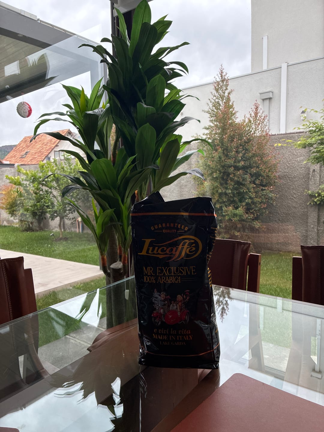 Customer photo review of Lucaffe Mr. Exclusive 1 kg Grano Entero