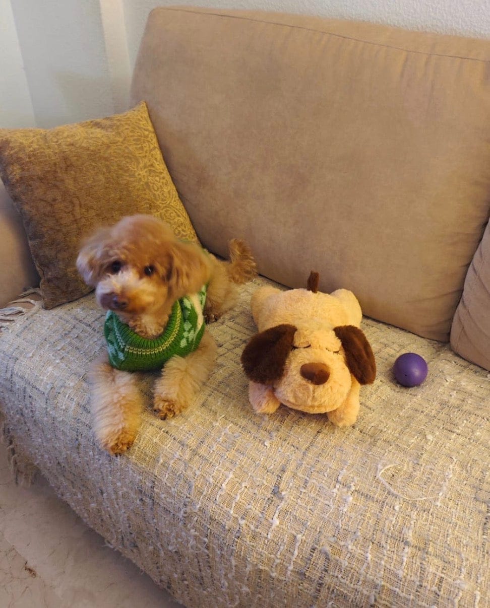 Customer photo review of Peluche con latido realista para perros