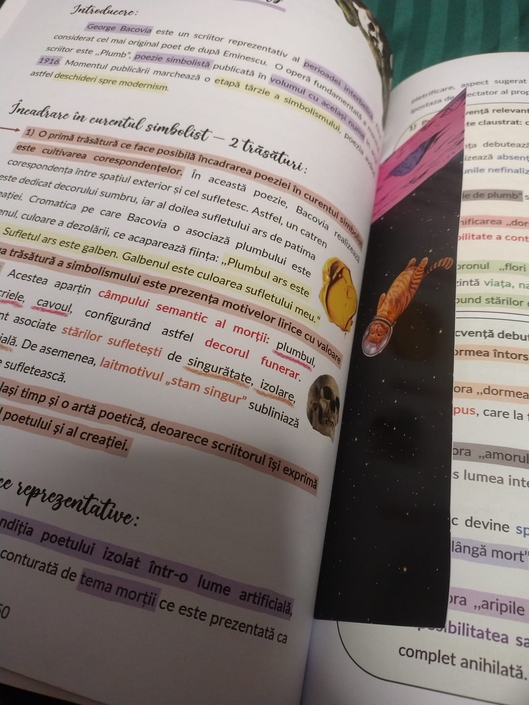Customer photo review of Pachet Bacalaureat (Română + Matematică + Biologie Vegetală și Animală clasele IX-X) Bacademia