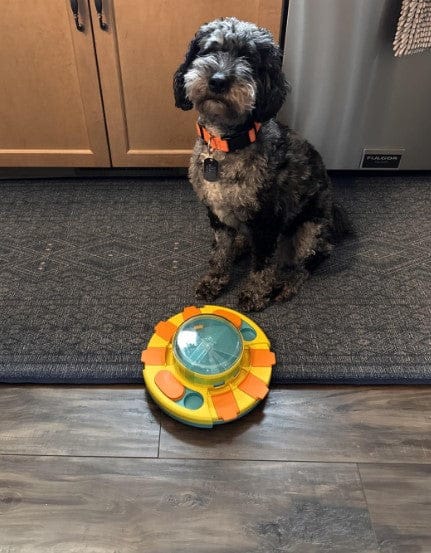 Customer photo review of Puzzle interactif - distributeur de croquettes