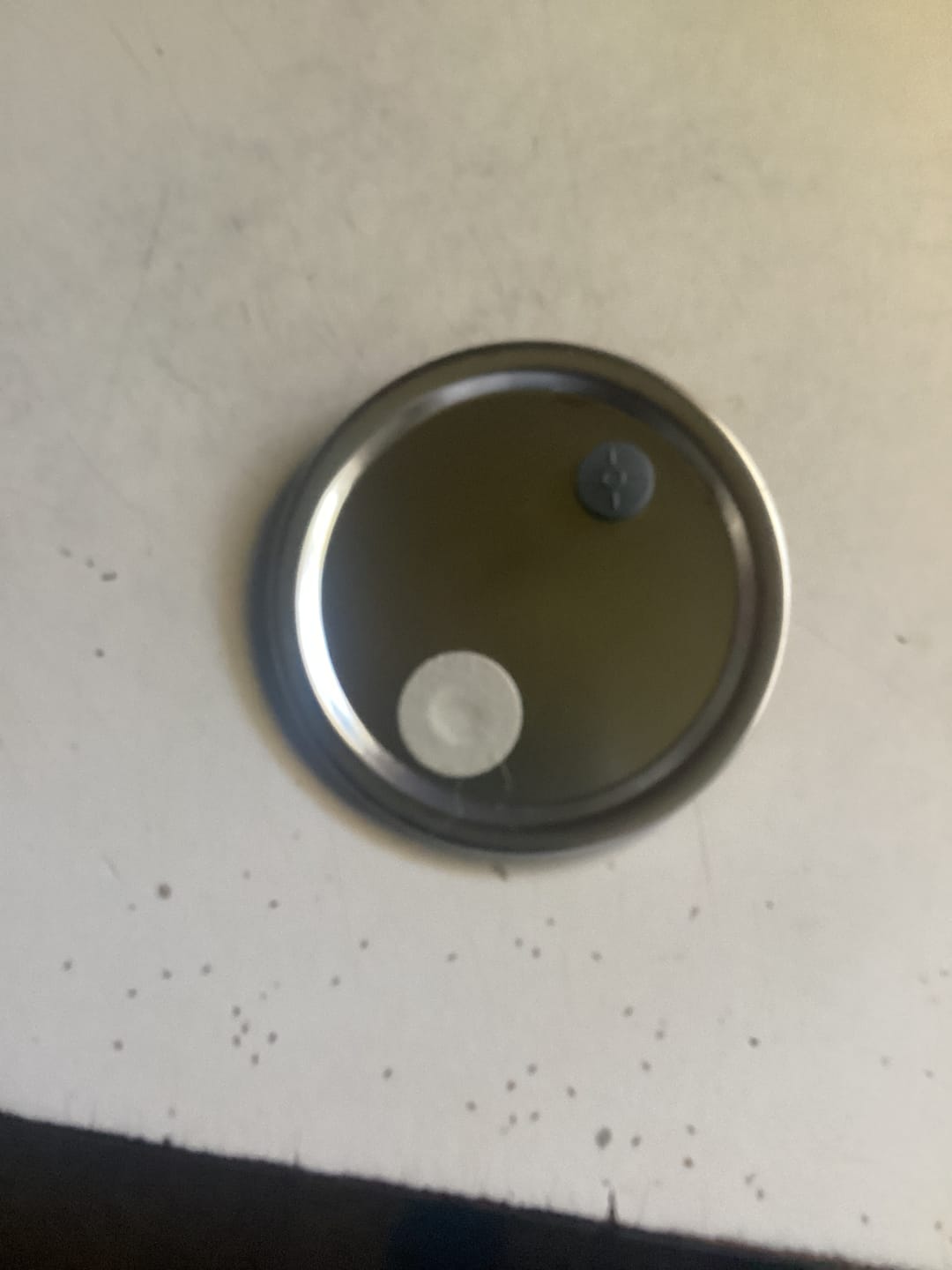 Customer photo review of Adherable Lid Filters For Plant & Mushroom Tissue Culture