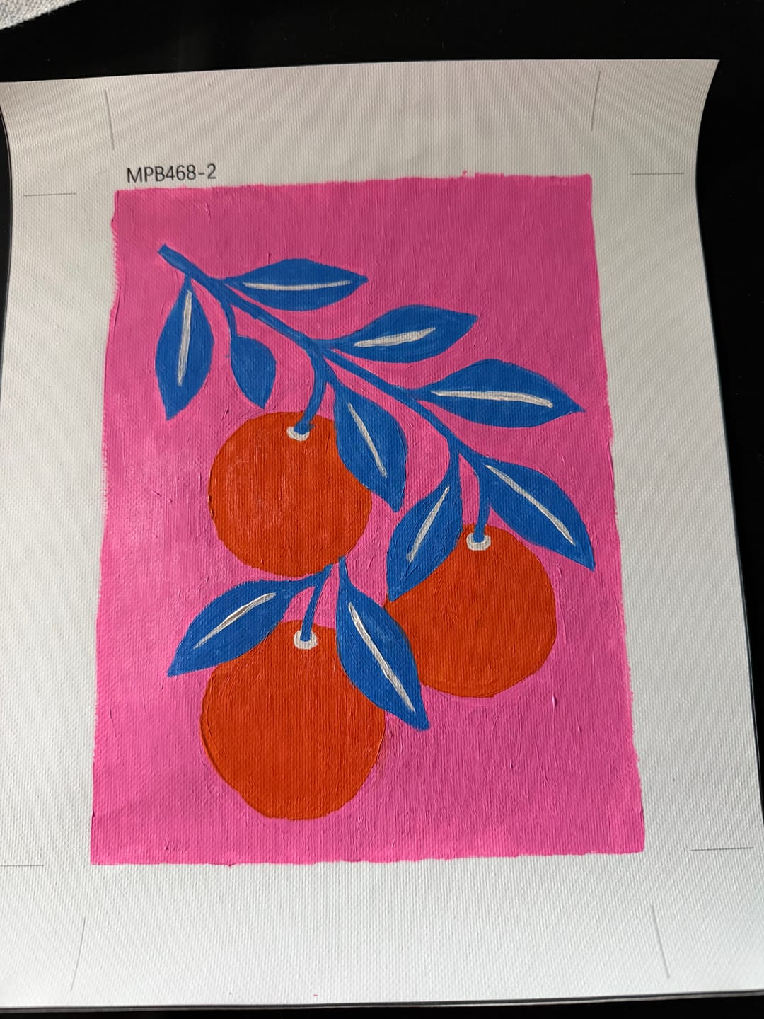 Customer photo review of 6 Mini Paintings - Botanical Flowers & Plants Set
