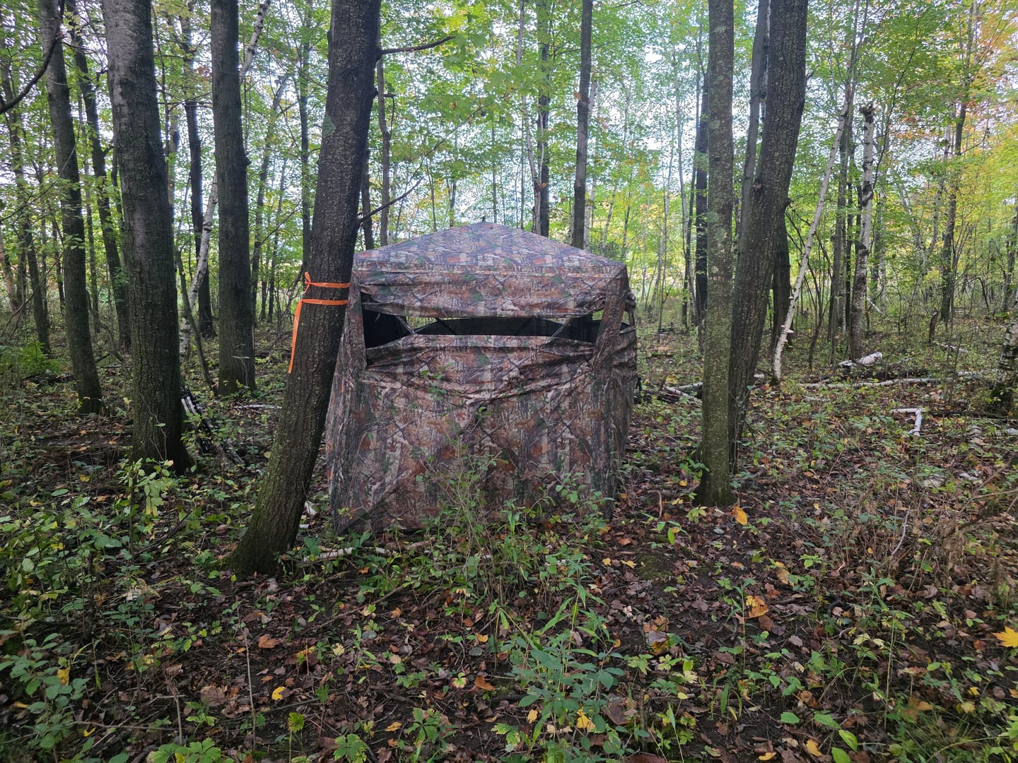 Customer photo review of VisMax See Through Blind | 270° Pop Up 3-4 Man Deer Blind | Portable Ground Blind Hunting for Sale with Hunters Comfort Design