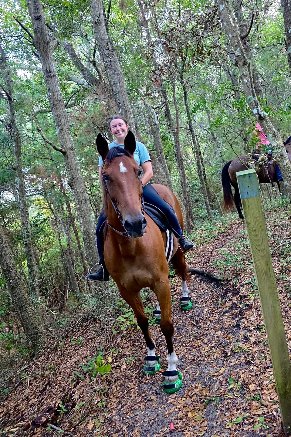 Customer photo review of Renegade® Viper Shield™ Hoof Boot - Emerald Green